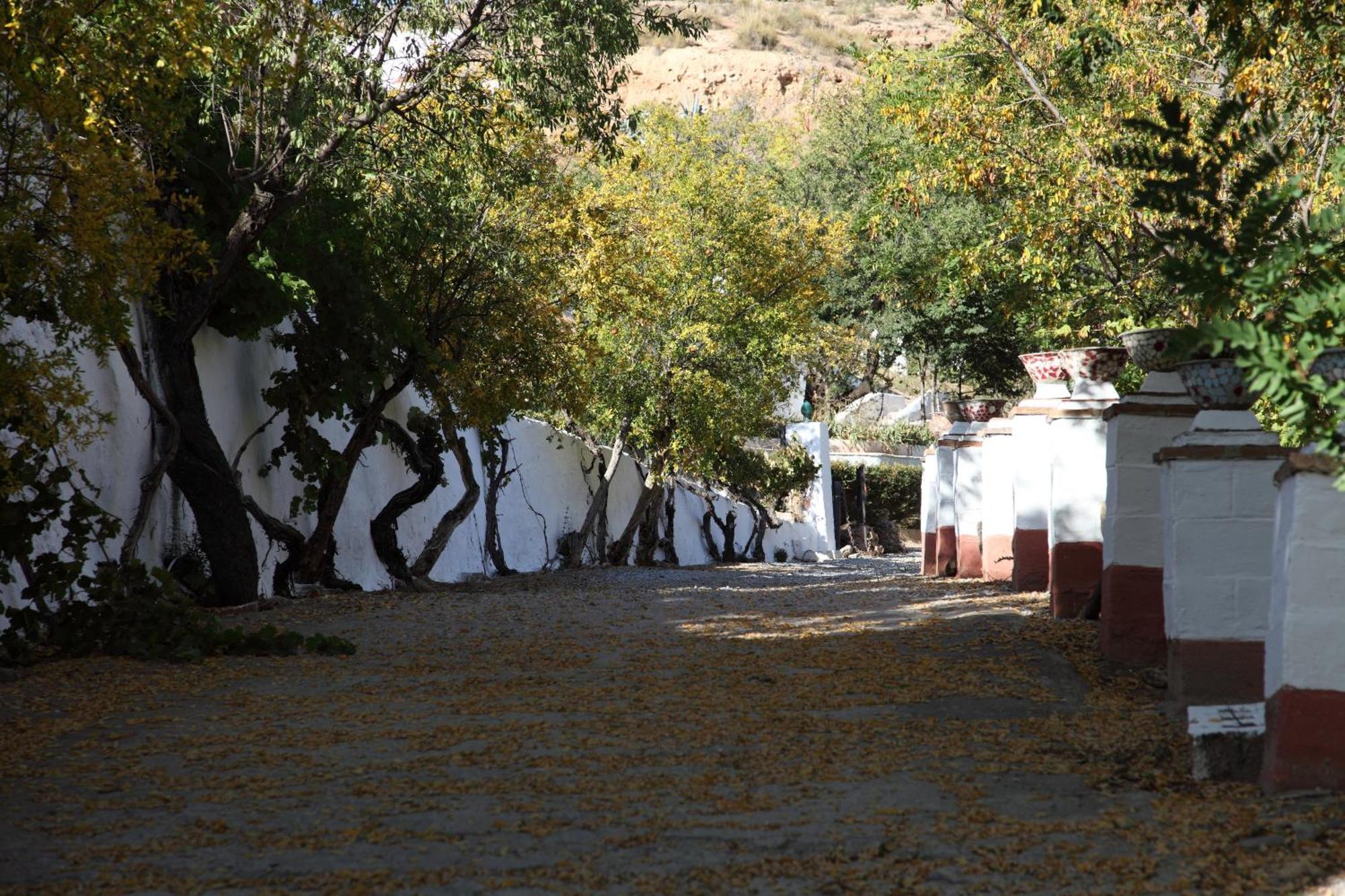 Casas Cueva Y Cortijo La Tala En Guadix Hotel Bilik gambar